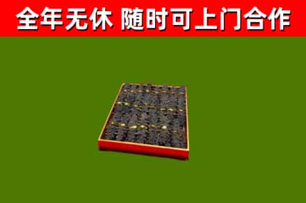 伊川县回收海参